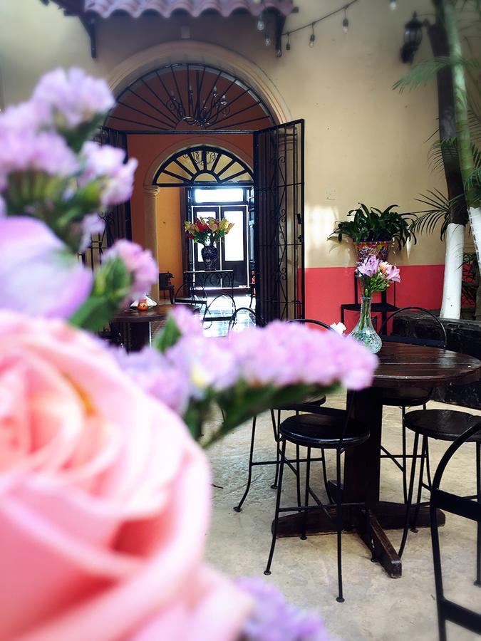 Casa Catrina&Diego 호텔 메리다 외부 사진